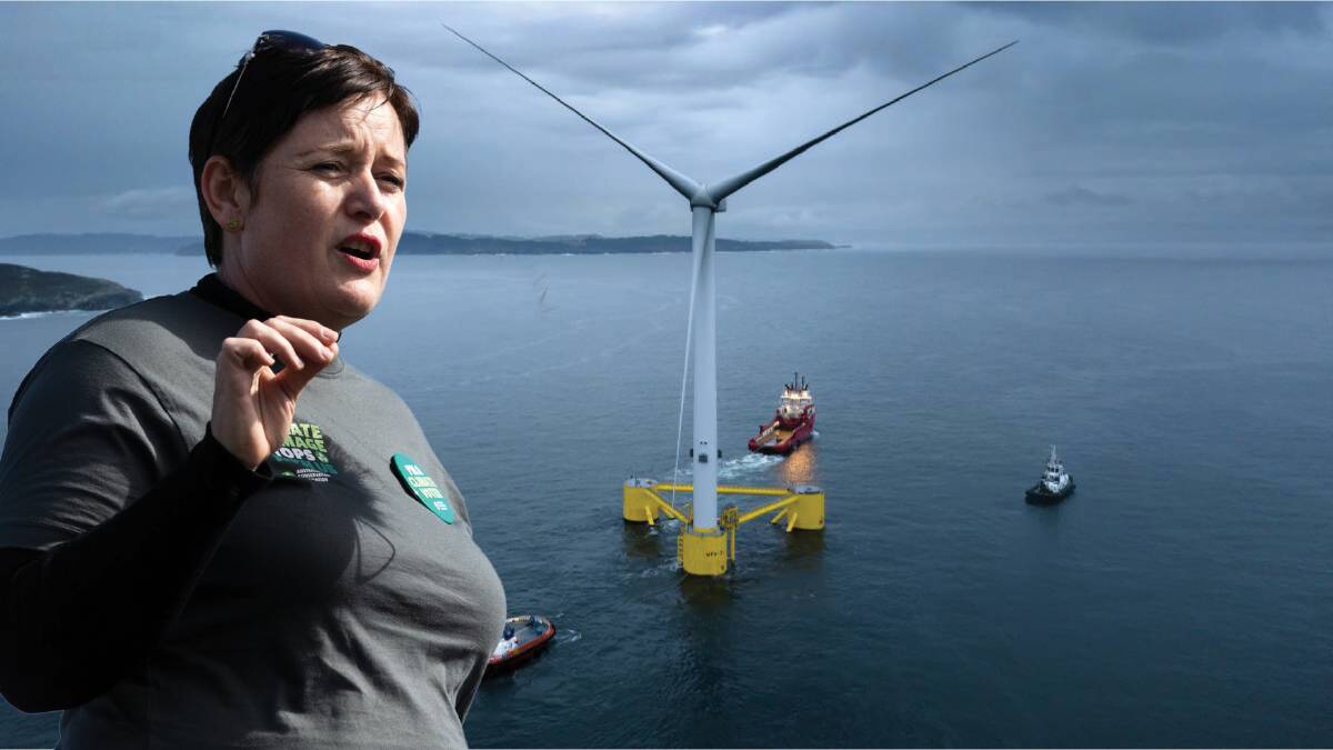 Australian Conservation Foundation CEO Kelly O'Shanassy said the country's chief environmental group supported the proposed Illawarra offshore wind zone.