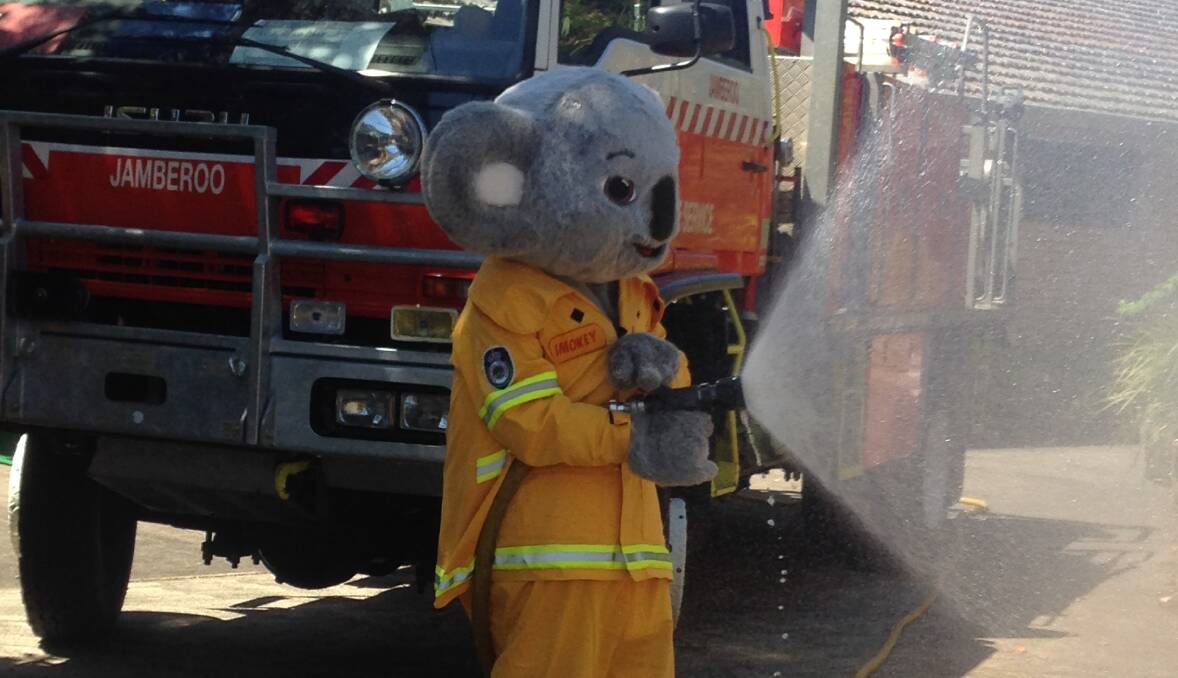 Smokey the RFS koala mascot.