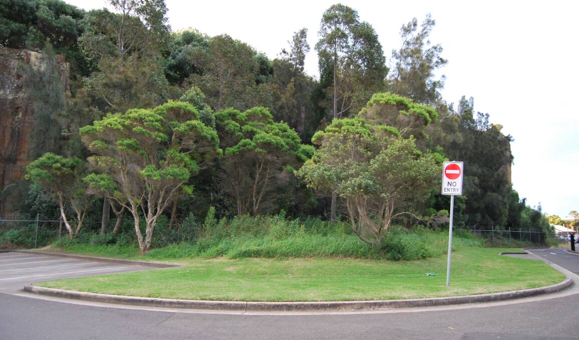 Kiama Council’s director of engineering and works Gino Belsito wants to create 22 car parking spaces on this site at the leisure centre.