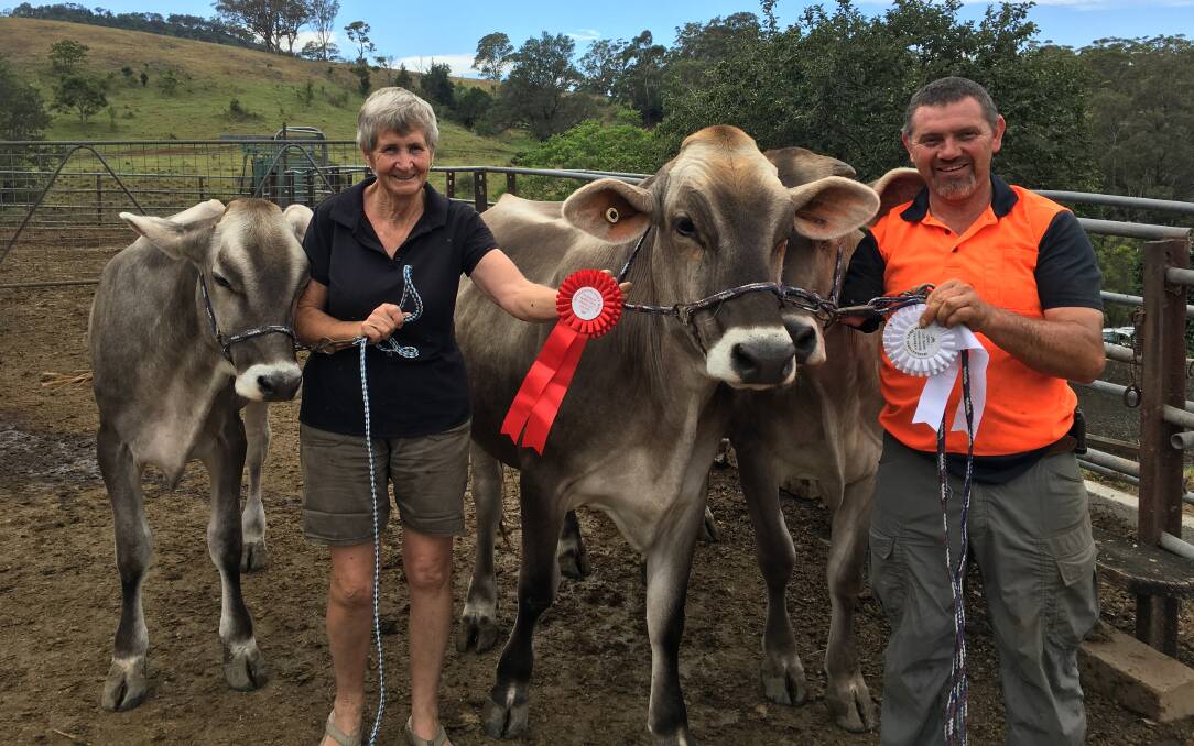 PRIZE WINNERS: Dairy farmers Ken Osborne and his aunty Margaret with their award-winning cattle recently. Picture: Nicole Johnstone 