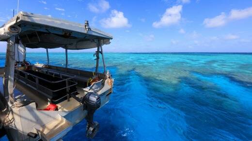 ​The majesty of the Great Barrier Reef has to be seen to be believed. Photo: Supplied