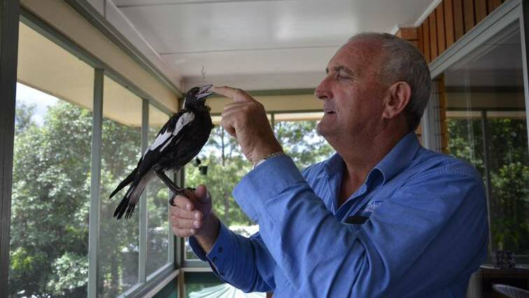 Dave Watson and Chook the magpie.