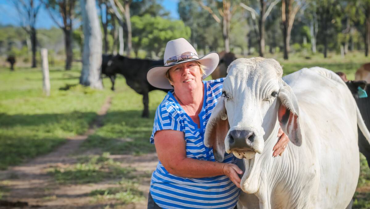 Barbara Bowman at home at Lorna Vale with some of the family's cattle, that would need to find a new home if they were shifted off for defence department expansions at Shoalwater Bay.
