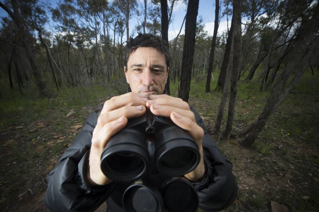 ON THE LOOKOUT: Kangaroo Flat ecologist Richard Goonan is helping hunt critically endangered creatures. Picture: DARREN HOWE