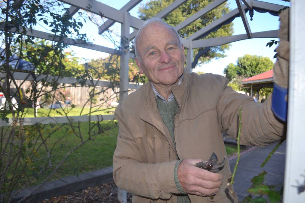 Robert Curll, very handy with the secateurs, at Kiama's Peace Park on Saturday. Picture: Rebecca Fist