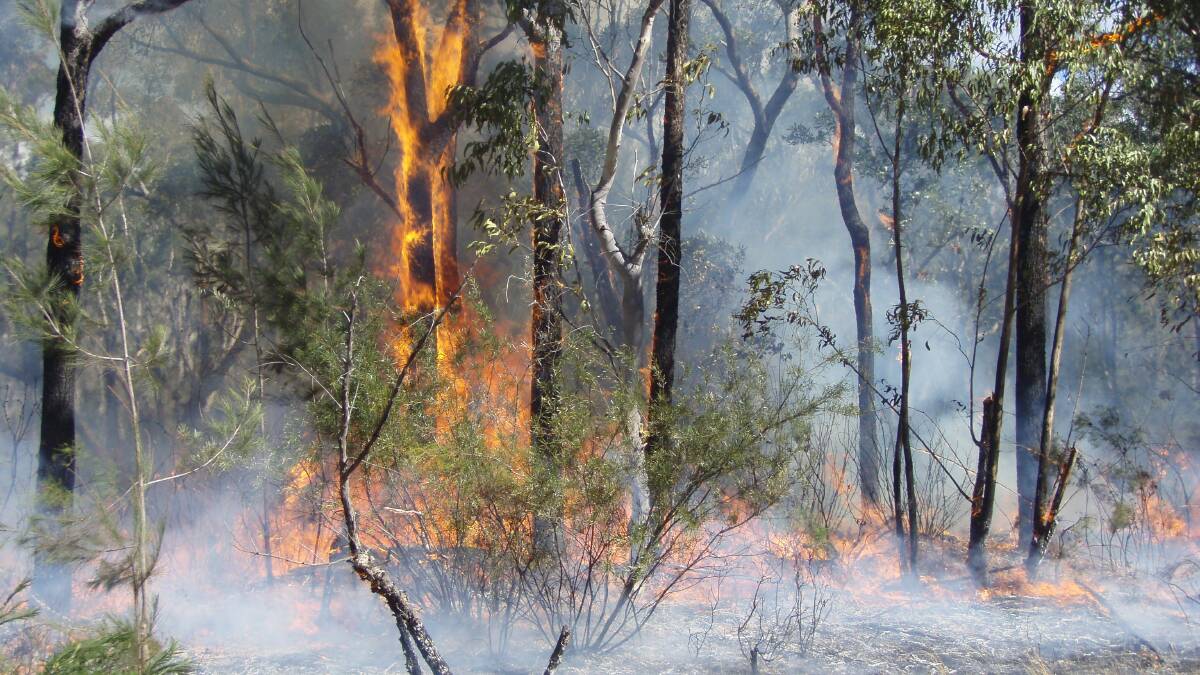 Shoalhaven bushfire danger period starts September 1​