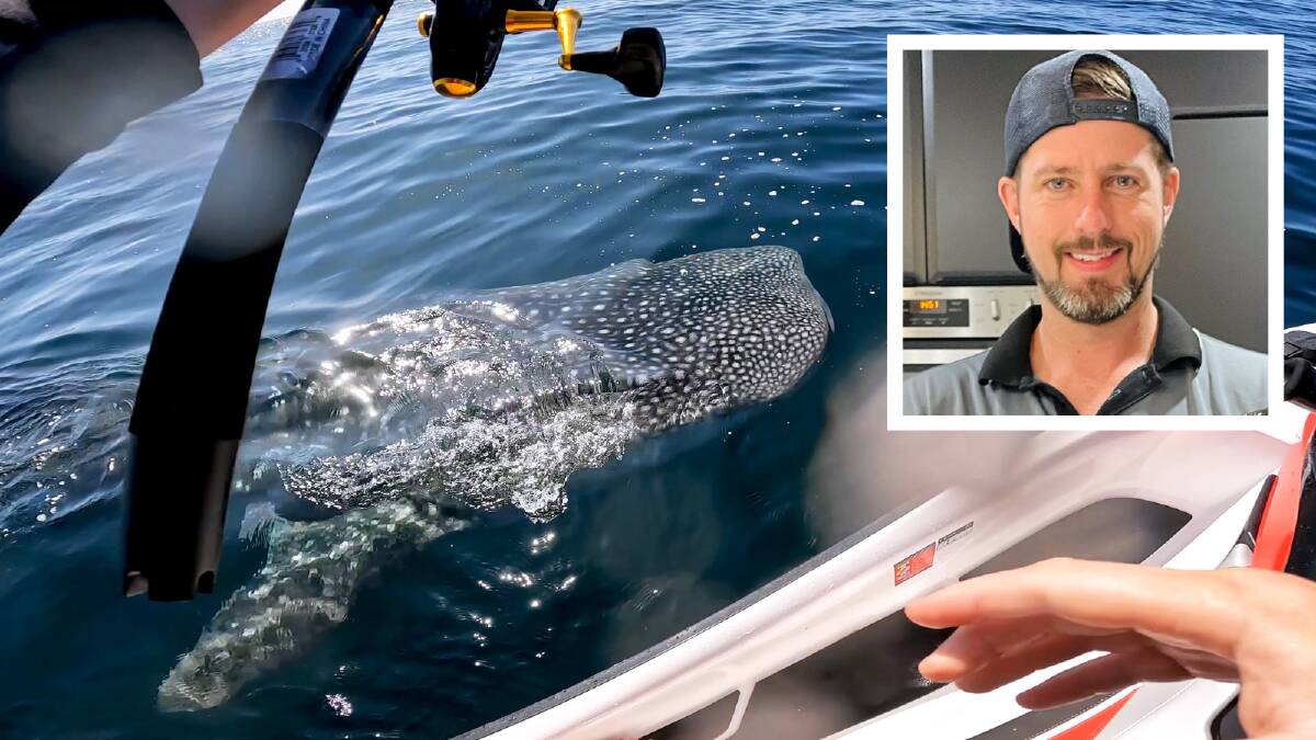 Farmborough Heights fisherman Tim Williams was stoked to encounter a rare whale shark near the Bass Islet (Five Islands) on Saturday. See more of his adventures on his YouTube Channel - @TimsLifeOnTheCoast. Pictures supplied by Tim Williams.