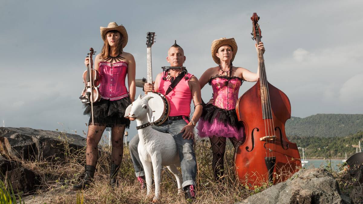 BOOT SCOOTIN: The Hillybilly Goats (and Hermie - short for Hermaphragoat) are one of the headline acts at this weekend's Folk By The Sea. Picture: Andrew Pattinson