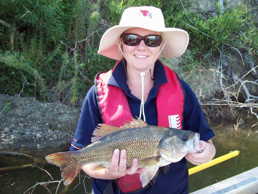 NICE BASS: DPI Fisheries Officer Prue McGuffie with an Australian bass from Lake Glenbawn. 