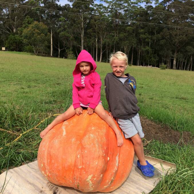 GIANT PUMPKIN: Guess the weight of the pumpkin at the Marine Rescue Narooma garage sale this Saturday. 