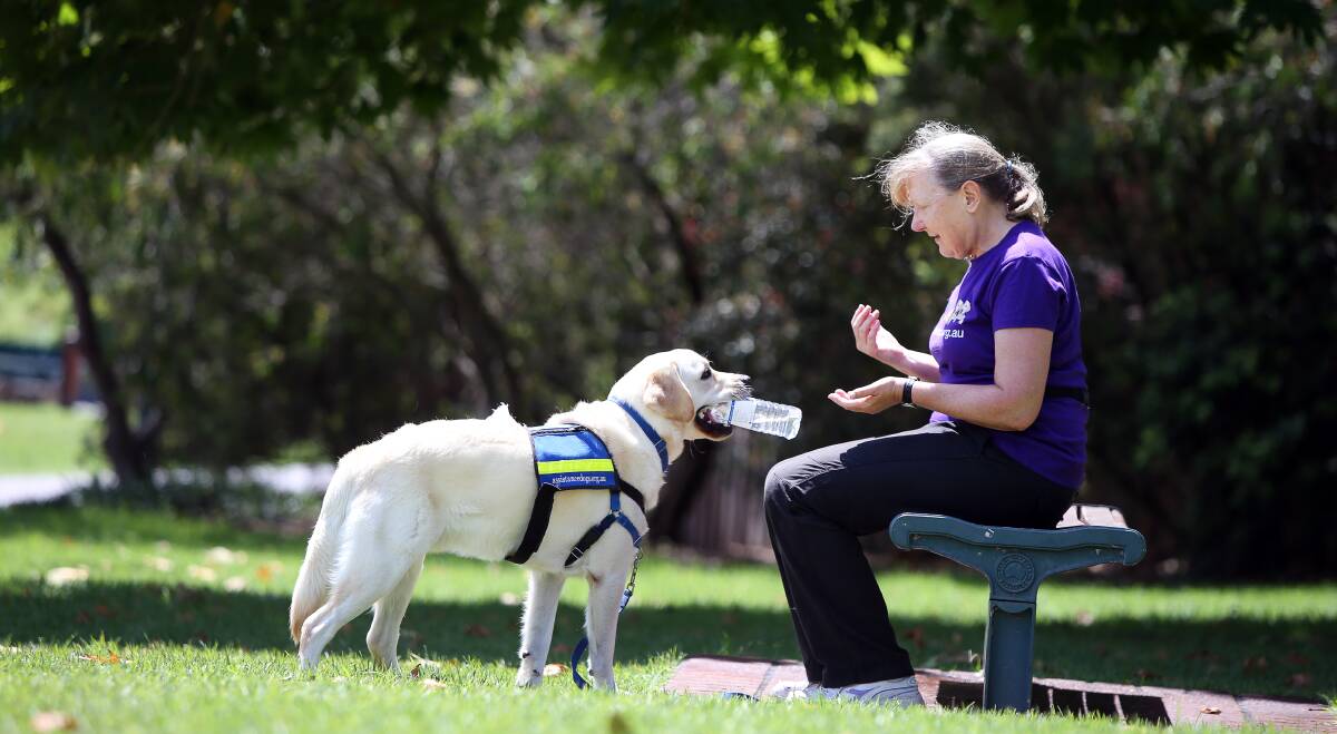 Kiama resident Janny Abbenes with her assistance dog Lucky who will soon graduate and find his forever home. Pictures: Sylvia Liber