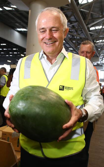 Hi vis PM: Be prepared for eight weeks of political photo opportunities as Malcolm Turnbull et al get down and dirty on the election trail.