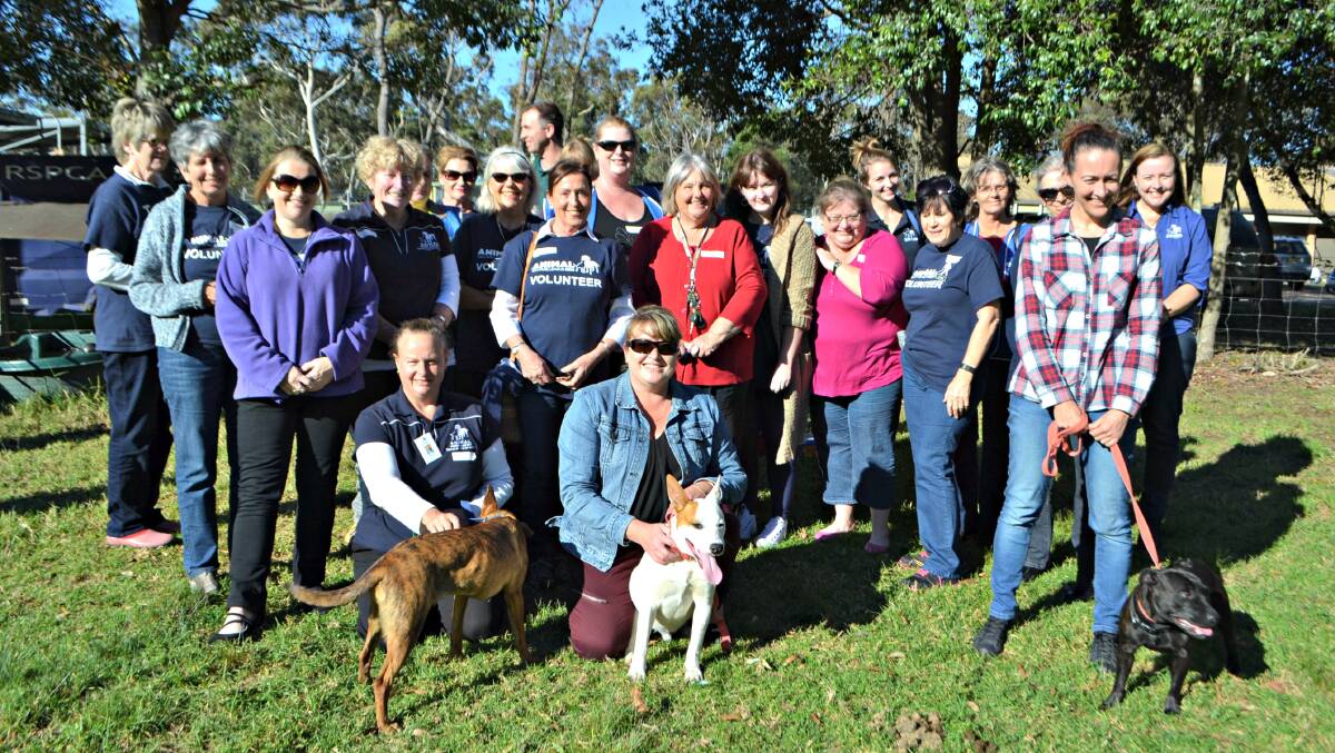 NEW TRICKS: Animal Welfare League Shoalhaven Branch (AWL) recently hosted an animal behaviour event for AWL carers, RSPCA staff and Shoalhaven City Council rangers, with behaviourist Rosalie Horton (far right, back) sharing her knowledge.