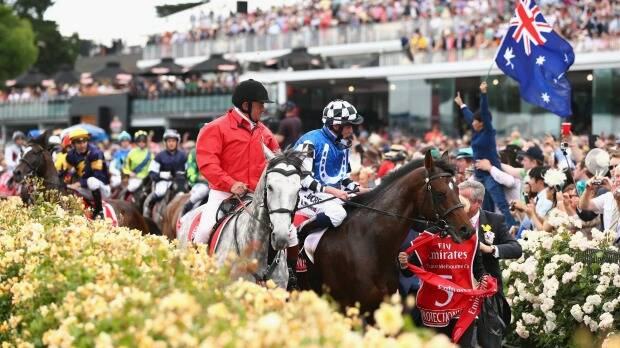 Araldo (in background) is frightened by an Australian flag, as jockey Dwayne Dunn rides him back to the mounting yard. Photo: Getty Images