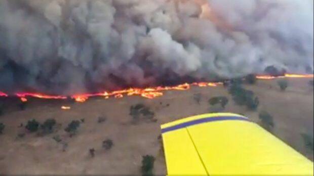 The Sir Ivan bushfire burns near Dunedoo. Photo: NSW Rural Fire Service
