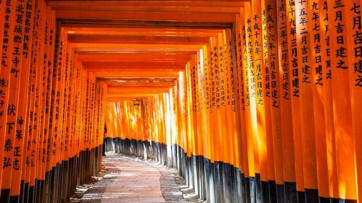 Radiant: The corridor of vermillion torii gates winding up Mount Inari.  Photo: Malcolm Fairman / Alamy Stock Photo