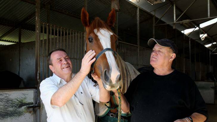 Forty-year partnership: Sheer Style with owner Bill Hilton (left) and trainer Garry Frazer. Photo: Janie Barrett