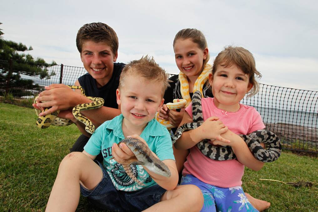 The Payne siblings Callum, 14, Damon, 3, Brooke, 12, and Ashlee, 4, show off their pet snakes and lizard ahead of the Illawarra Reptile Society's annual show at Kembla Grange Racecourse on April 13. Picture: CHRISTOPHER CHAN