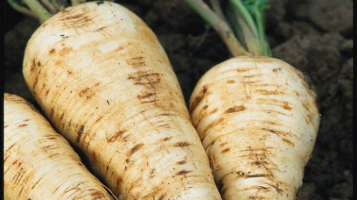 Perfect pairing: Parsnips are wonderful slowly roasted with lamb or a chook.
