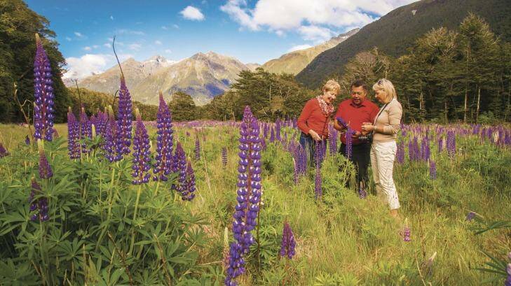 See the best of New Zealand.
