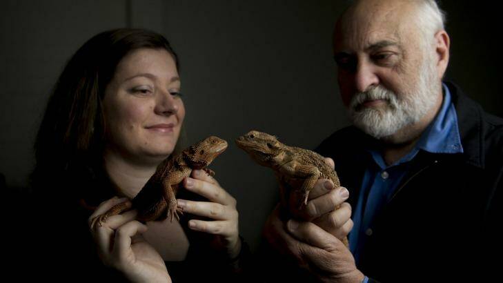 Dr Claire Holleley and Professor Arthur Georges have discovered that climate change is affecting the sex of some animals. Photo: Jay Cronan
