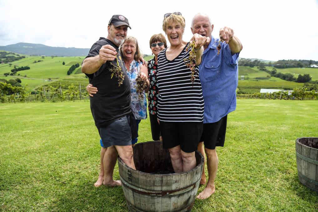 Barry Hunt, Judith Hunt, Julie Dewhurst, Barry Maxwell and Jeanine Maxwell stomping the grapes at Crooked River Wines. Picture: GEORGIA MATTS