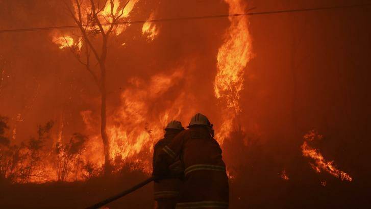 A bushfire rages in Londonderry as firefighters battle to contain the blaze. Photo: Nick Moir