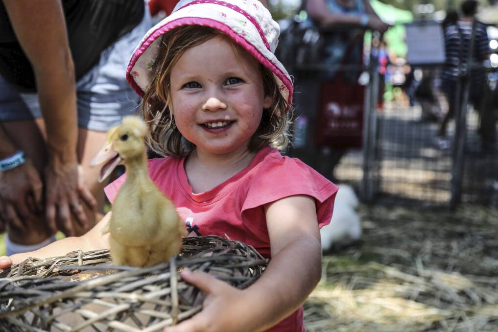 It was all smiles as this youngster enjoyed the company of this duckling at the baby animal enclosure. Picture: GEORGIA MATTS