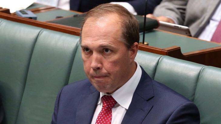Immigration Minister Peter Dutton.  Photo: Andrew Meares