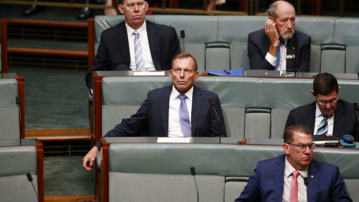 Former prime minister Tony Abbott in Parliament this week. Photo: Alex Ellinghausen