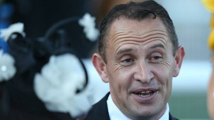 Tour de force: Chris Waller's dominance of Australian racing continued in Perth on Saturday as Good Project won the Railway Stakes at Ascot.
Photo: bradleyphotos.com.au 