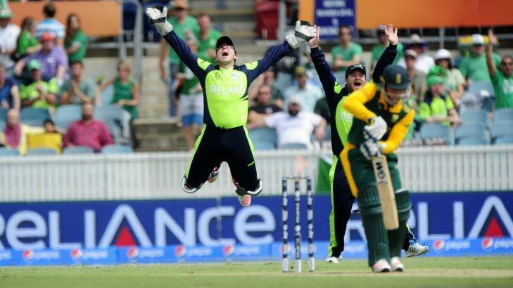 Ireland wicket keeper, Gary Wilson celebrates Ireland's first wicket against South Africa at Manuka Oval. Photo: Melissa Adams