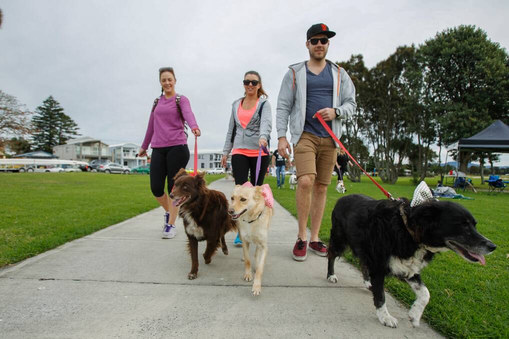 Jade Tubman, Matti Tubman and Chris Swadling with their dogs taking part in RSPCA Million Paws Walk at Reddall Reserve on May 18. Picture: CHRISTOPHER CHAN