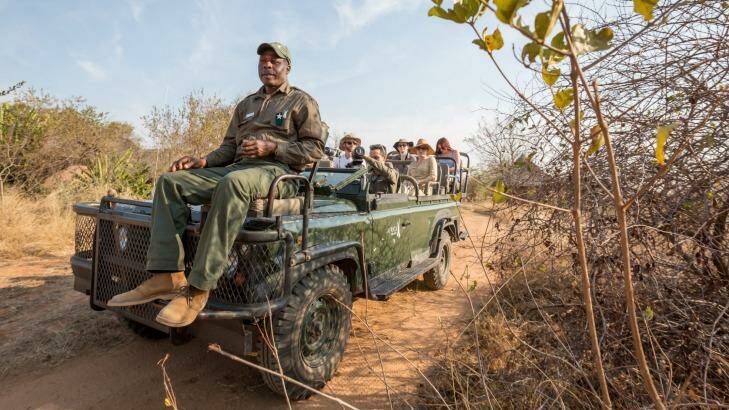 A tracker from Africa on Foot leads a game drive, with sightings of the Big Five virtually guaranteed.