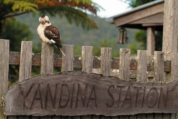 Country getaway: Yandina Station Photo: Bonnie Brewster