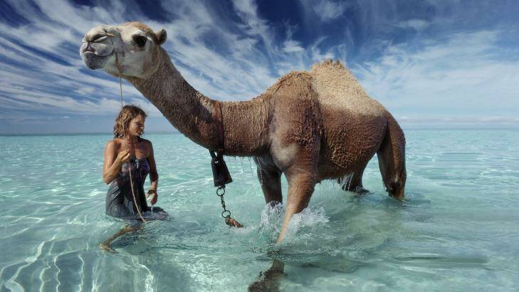 Robyn Davidson and one of her camels reach the Indian Ocean in 1977. Photo: Rick Smolan