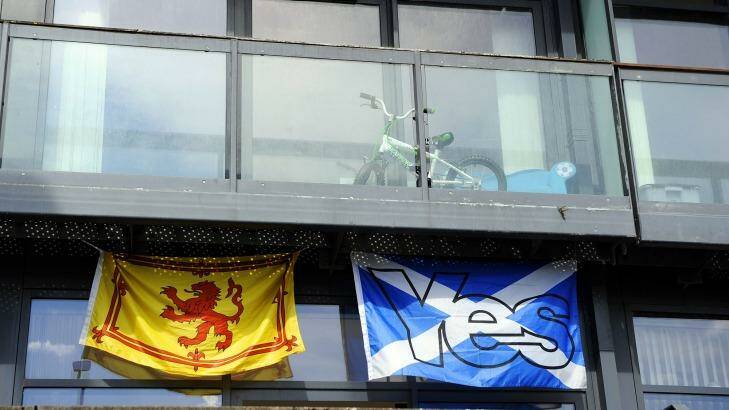 Tartan army: A Scottish flag supporting the Yes campaign flies outside a block of flats in Glasgow. Photo: Andy Buchanan