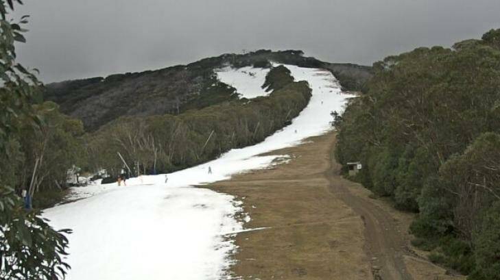 Little Buller Spur in Victoria offering some skiing on Wednesday. Photo: Mt Buller, Mt Sterling resorts