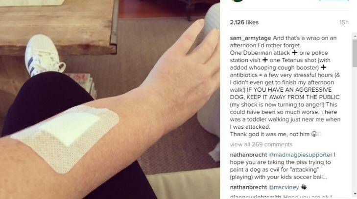 The Instagram post shared by Samantha Armytage after she suffered a dog bite. Photo: Instagram