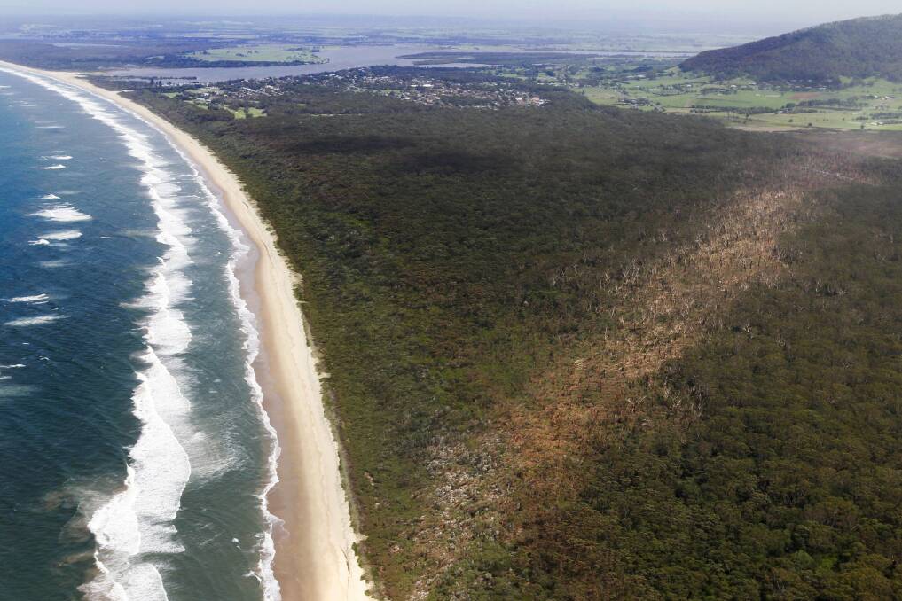 One the 2013 tornadoes left a scar through dense vegetation off Seven Mile Beach. Picture: ANDY ZAKELI