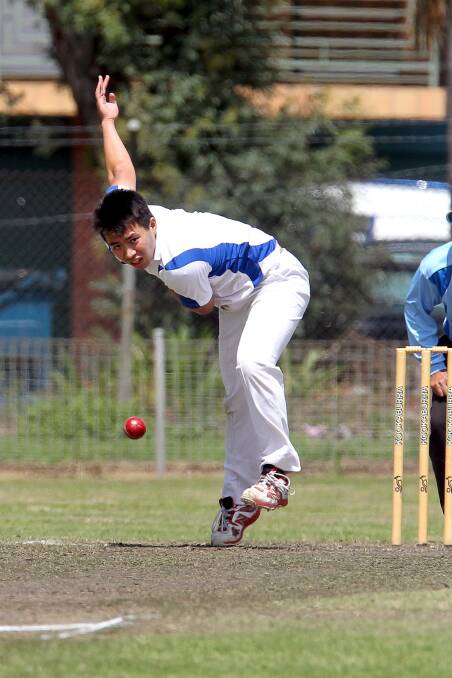 Shellharbour all-rounder Ken Nguyen in action during his side's loss to Albion Park, a result that may see them relegated to first grade. Picture: SYLVIA LIBER