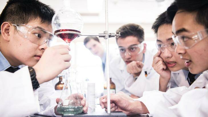 Some of the year 11 boys at Sydney Grammar School who have made an anti-parasitic drug for $2 a dose. Photo: Nic Walker