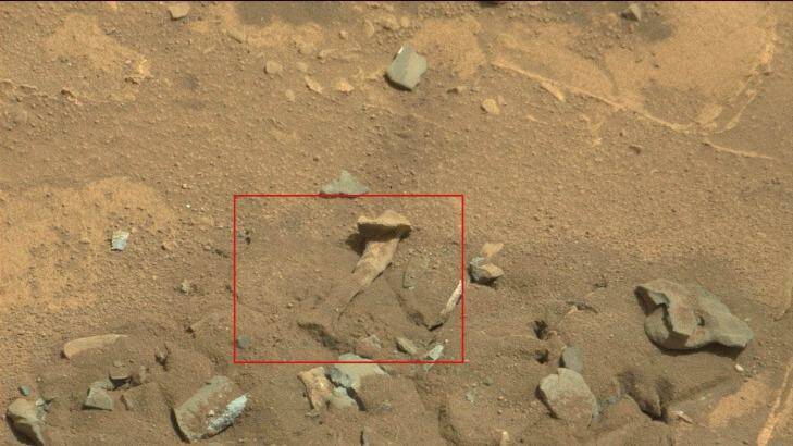 Alien thigh bone? NASA says highly unlikely. Photo: NASA