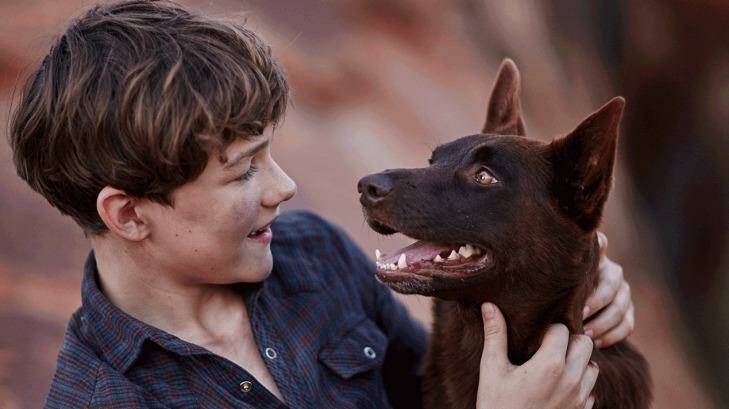 Levi Miller and Phoenix in the movie Red Dog: True Blue Photo: Supplied