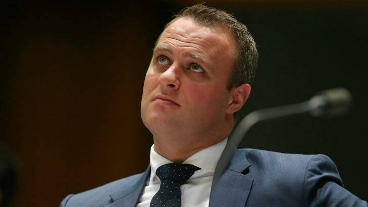 Tim Wilson will quit as Human Rights Commissioner. Photo: Alex Ellinghausen
