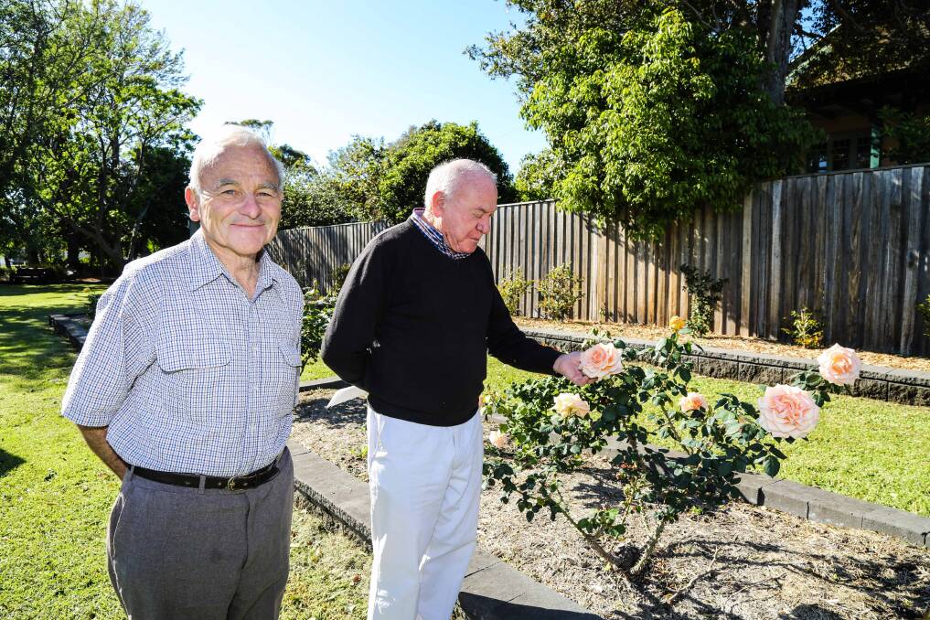 Robert Curll and Colin Hollis are looking forward to the 40th Annual Illawarra Spring Rose Show in Jamberoo this weekend. Picture: GEORGIA MATTS