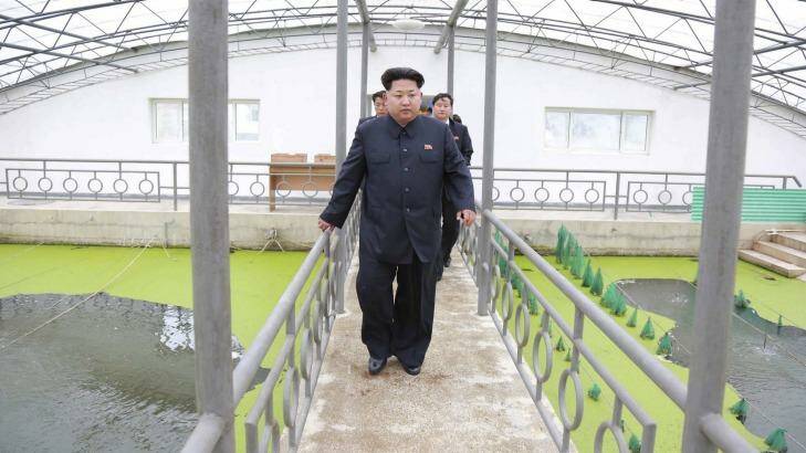 North Korean leader Kim Jong Un at the Taedonggang Terrapin Farm in Pyongyang. Photo: KCNA