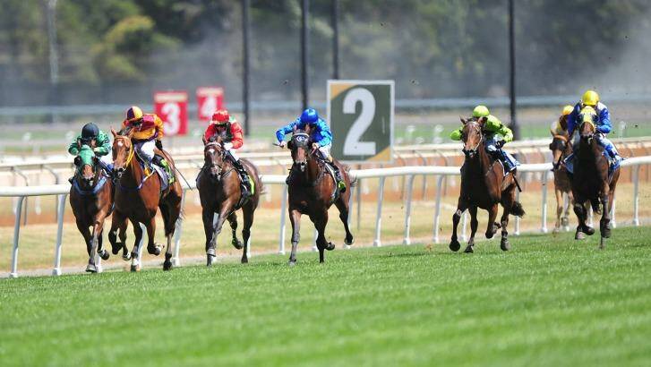 Jockey Richard Bensley, second from left,  rides Mixed Blossom to victory in the Inglis Bonus Lightning Ridge 2YO Plate at Thoroughbred Park in Canberra on Sunday. Photo: Melissa Adams 