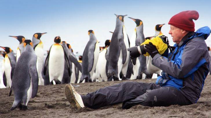 Photographing penguins with Aurora Expeditions.
 Photo: Supplied