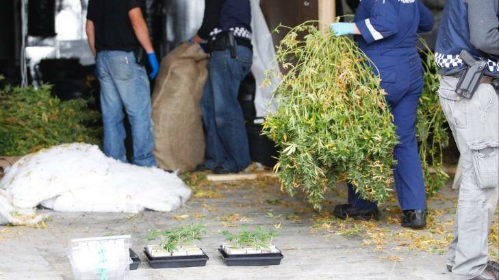 Drug taskforce officers remove material retrieved during a raid. Photo: Michael Copp